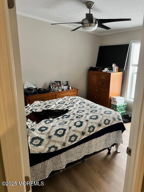 101 Antonia Drive, Jackson, NJ, 08527 image 19