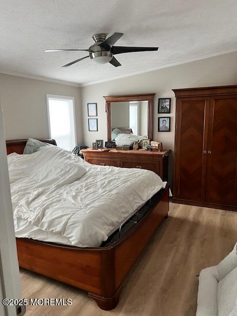 101 Antonia Drive, Jackson, NJ, 08527 image 15