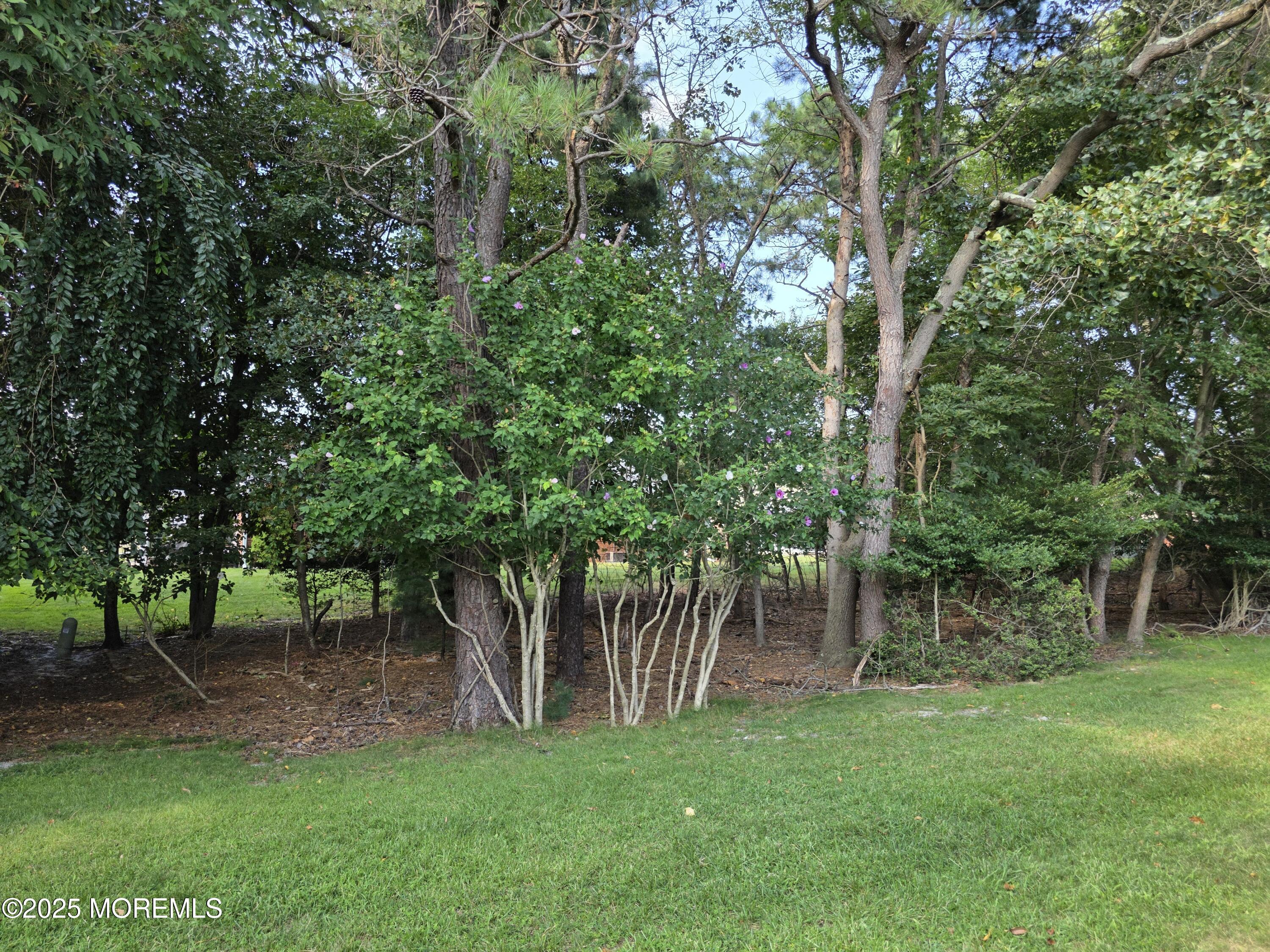 7 Betsy Ross Lane A, Whiting, NJ, 08759 image 16