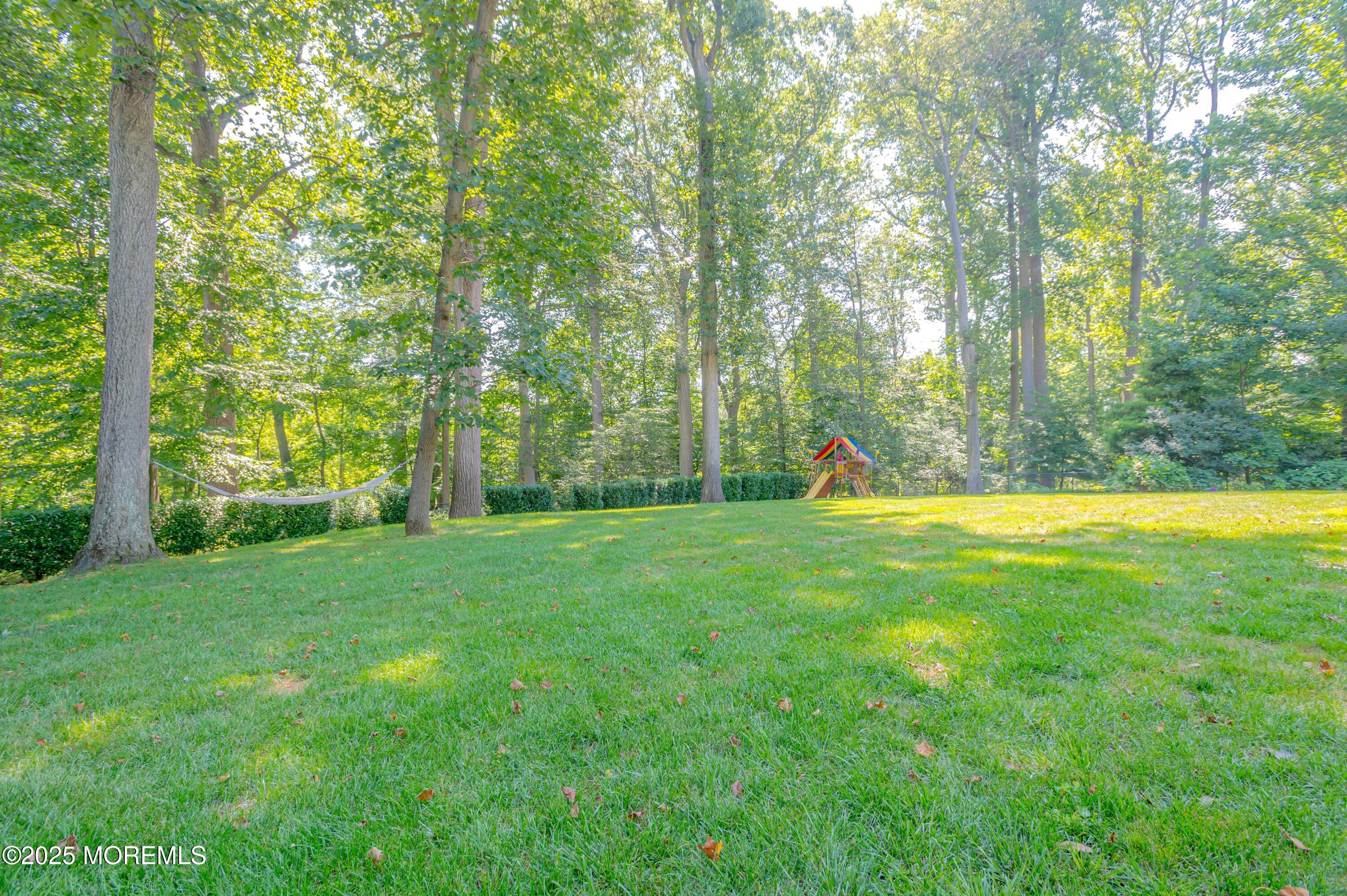 6 Blue Hills Drive, Holmdel, NJ, 07733 image 29