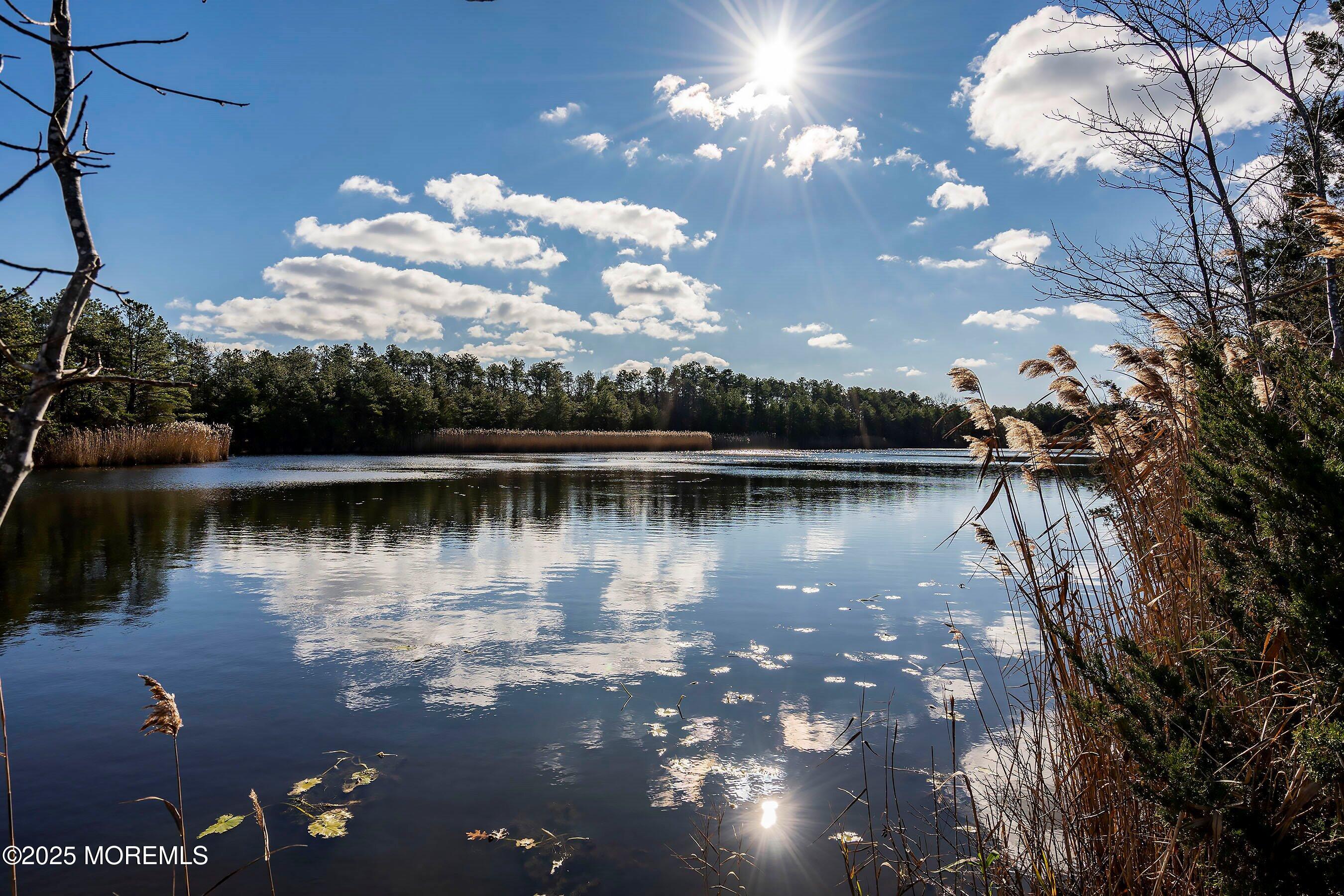 2B Magnolia Road, Manahawkin, NJ, 08050 image 31