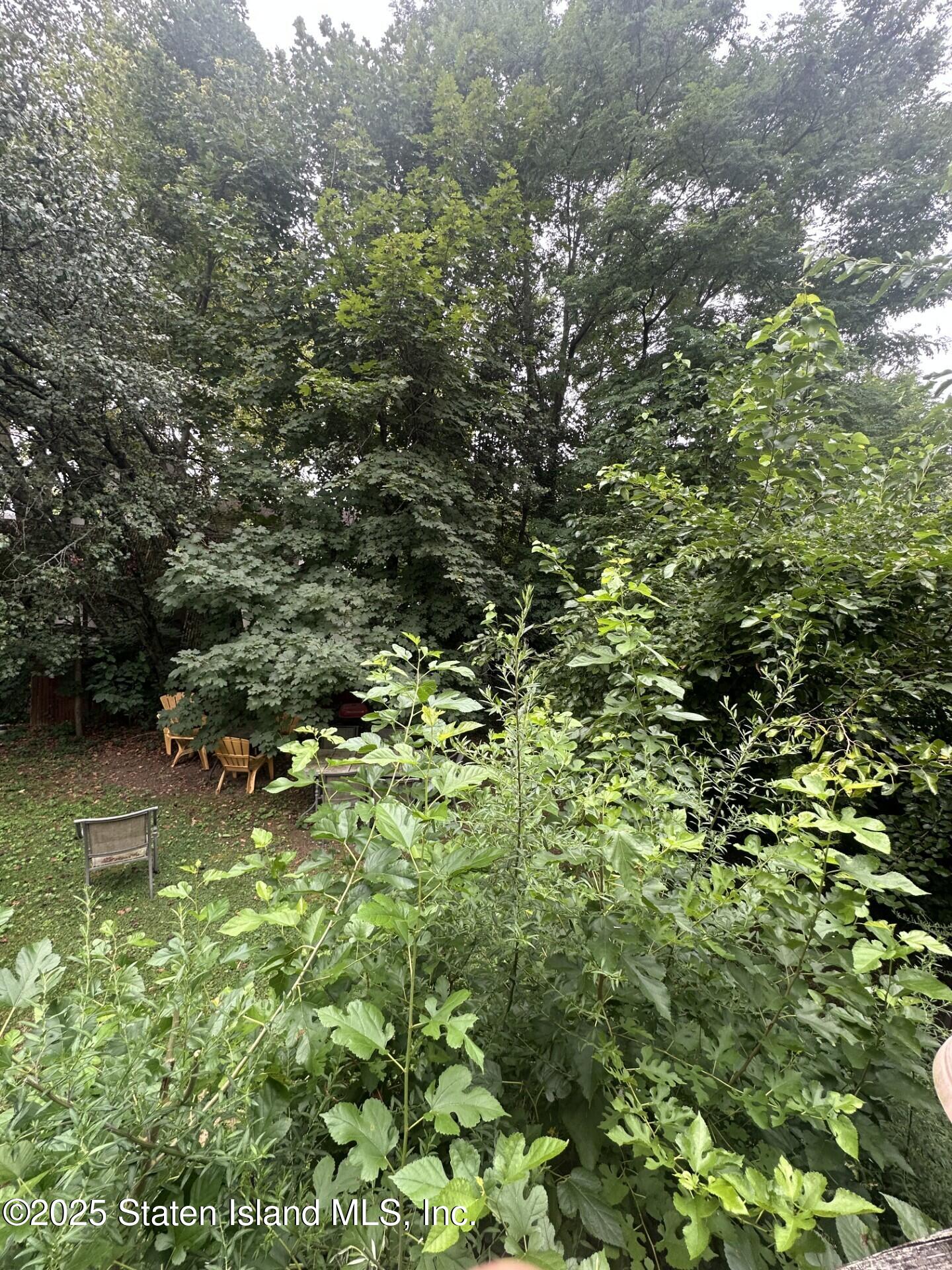 60 Avon Place Image 3
