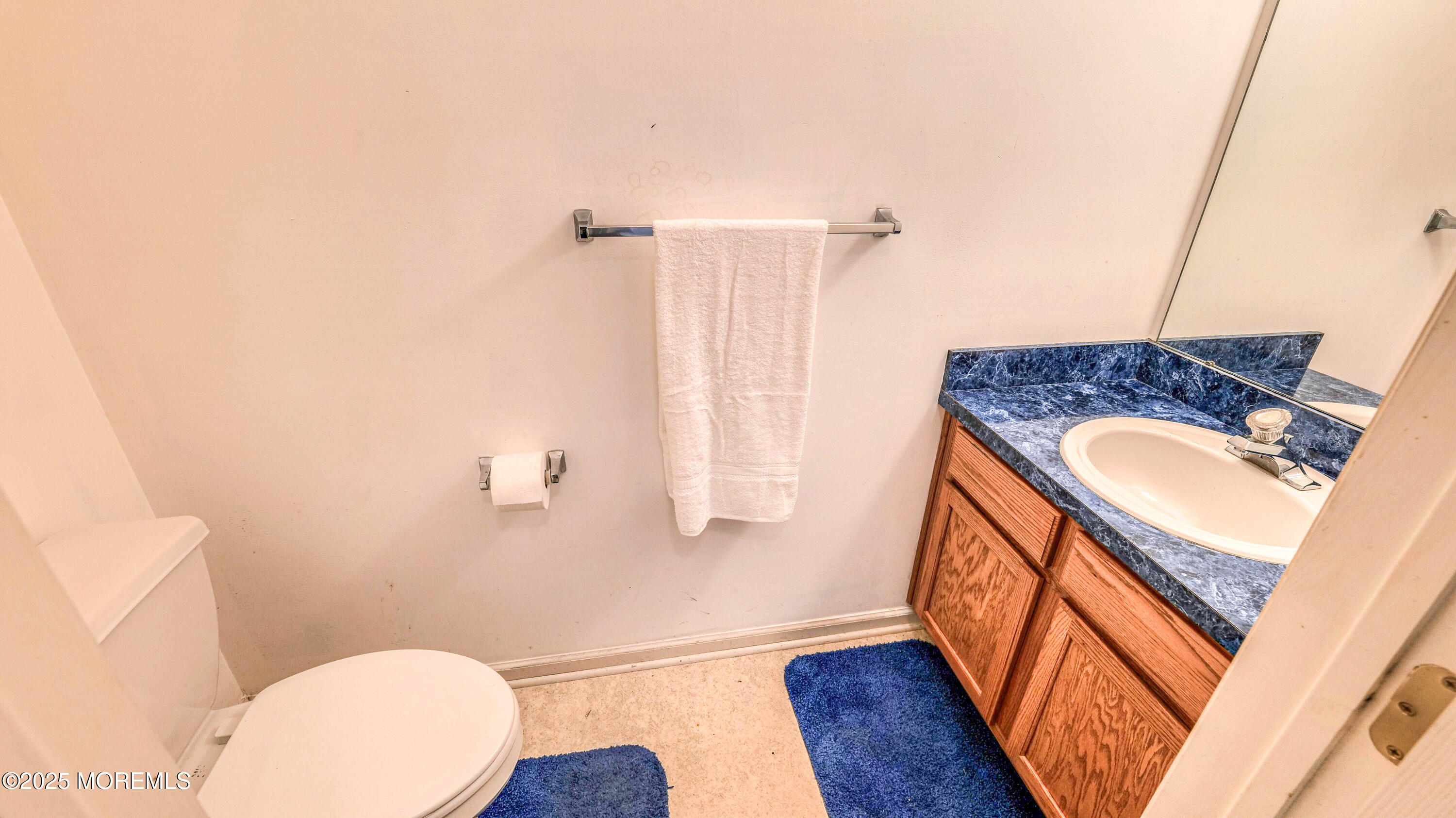 8 Springgate Court, Little Egg Harbor, NJ, 08087 image 22