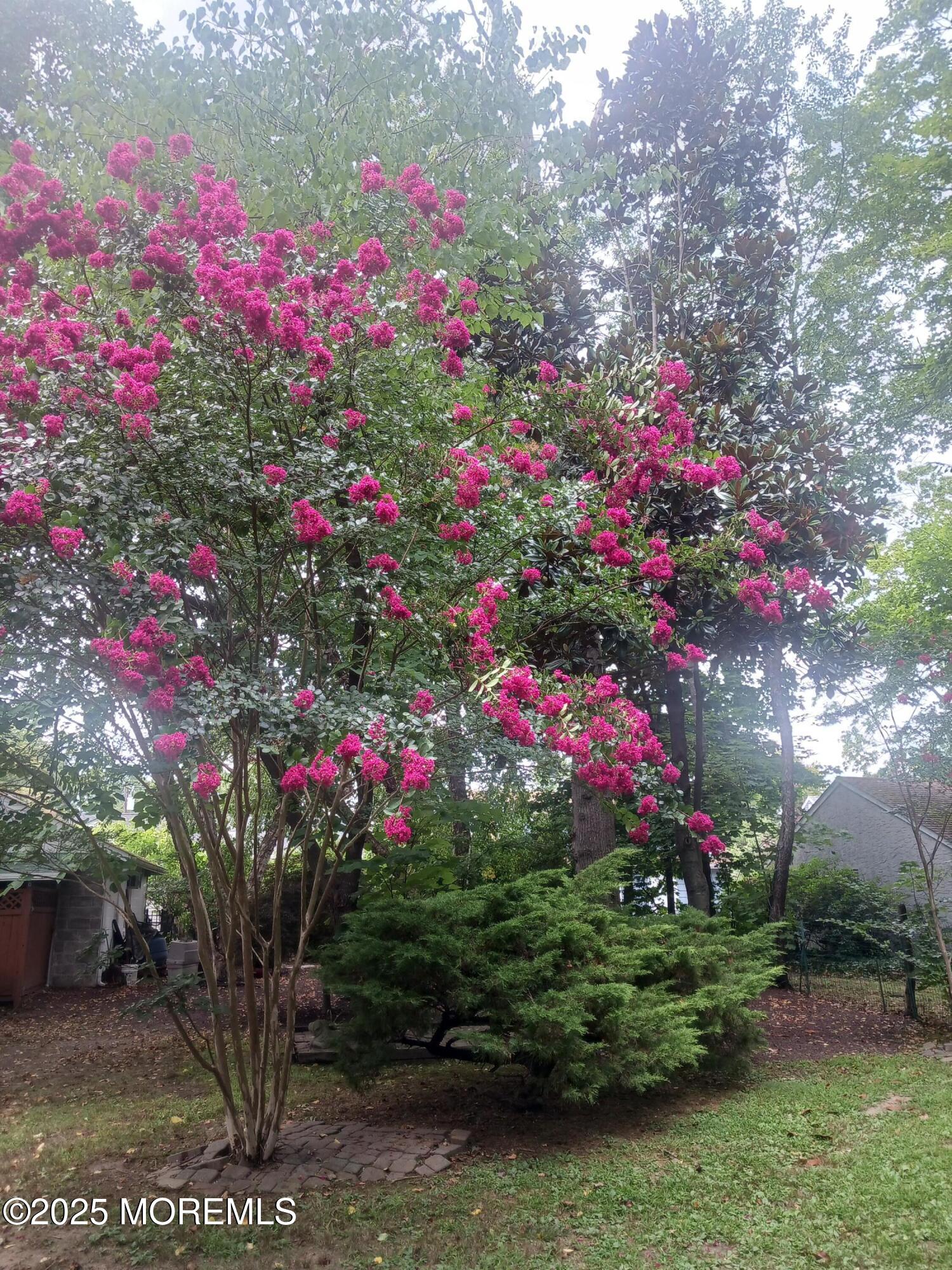 108 Orchard Avenue Image 5