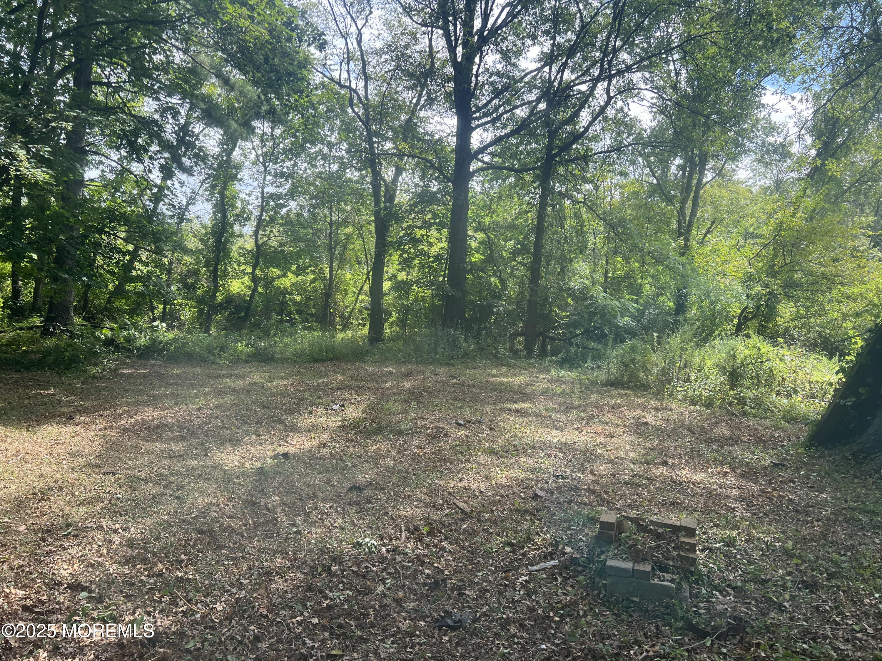 138 Disbrow Hill Road, Millstone, NJ, 08535 image 30