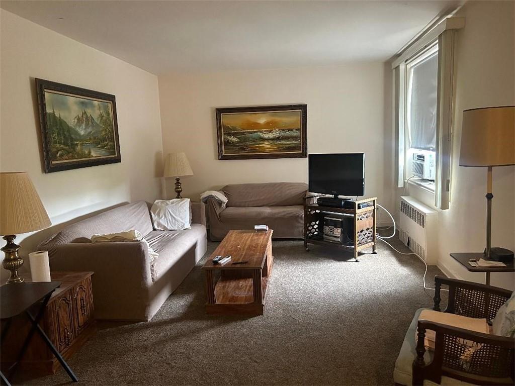 2241 Plumb 1st Street 6N, Brooklyn, New York, 11229 image 6