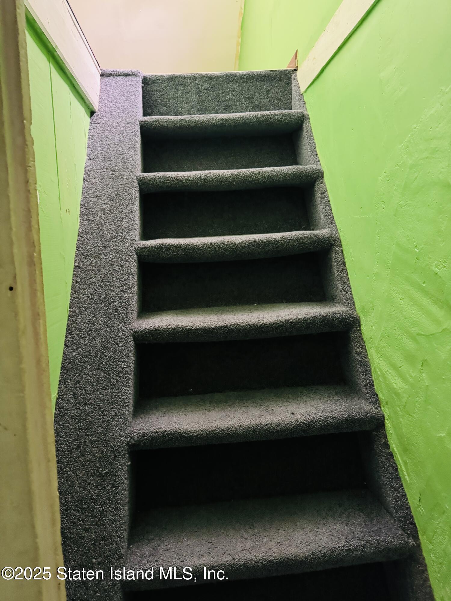 113 Van Pelt Avenue, Staten Island, NY, 10303 image 7