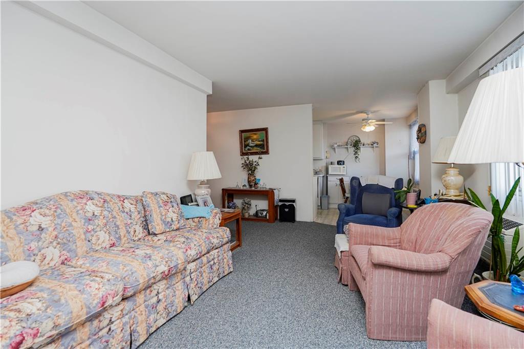 2475 West 16th Street 4K, Brooklyn, New York, 11214 image 7