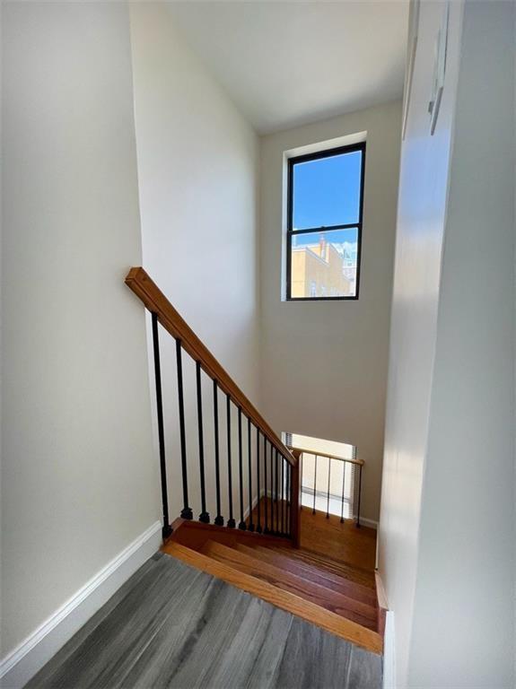 407 Ocean View Avenue 4, Brooklyn, New York, 11235 image 19