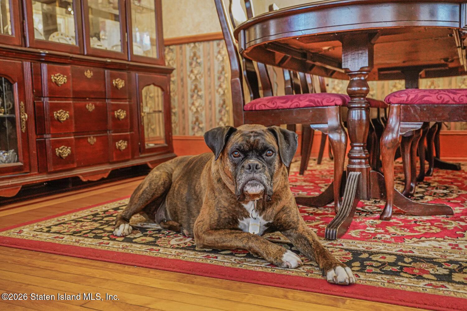 213 Wood Avenue, Staten Island, NY, 10307 image 20