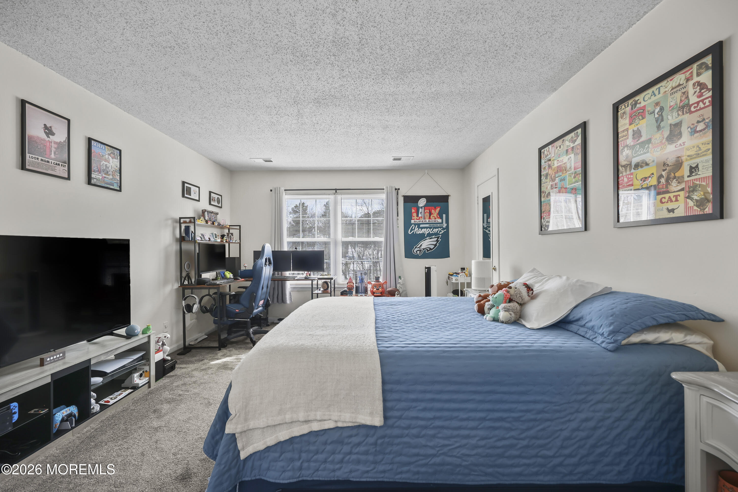 135 Frontier Way, Tinton Falls, NJ, 07753 image 9