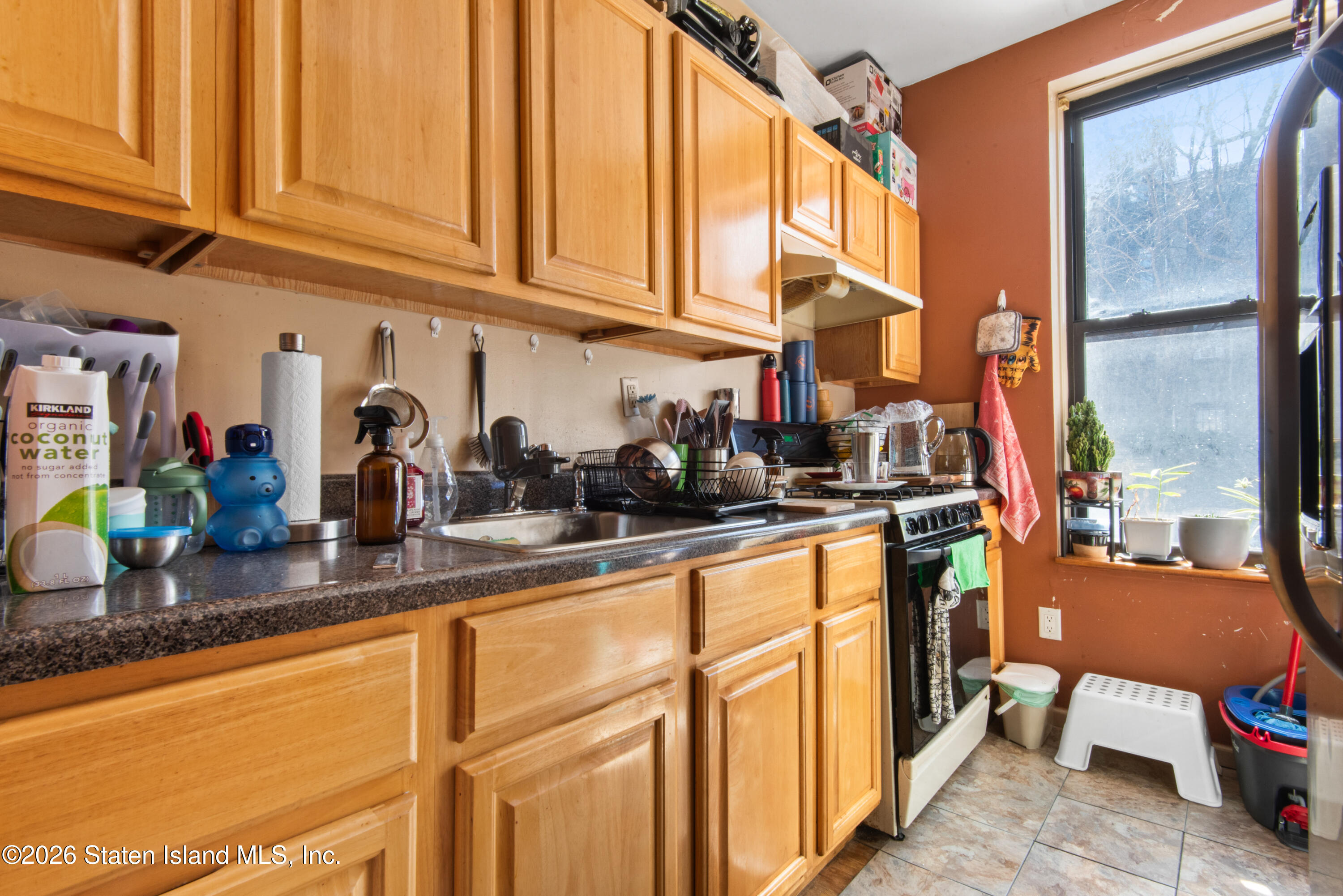 244 45th Street, Brooklyn, NY, 11220 image 10