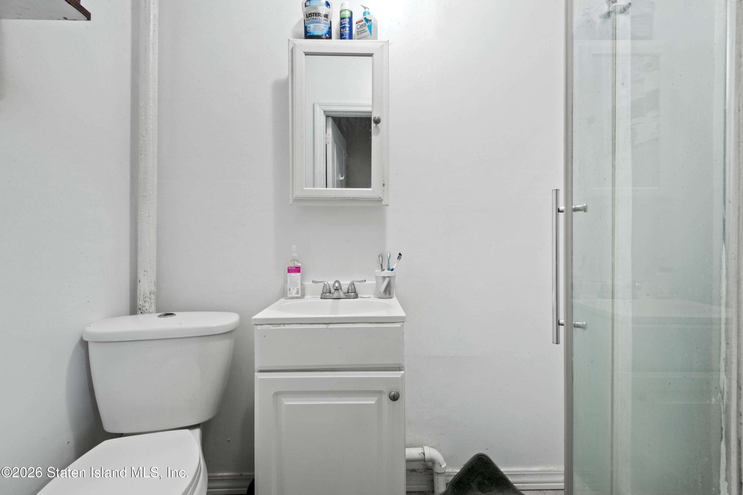 244 45th Street, Brooklyn, NY, 11220 image 32