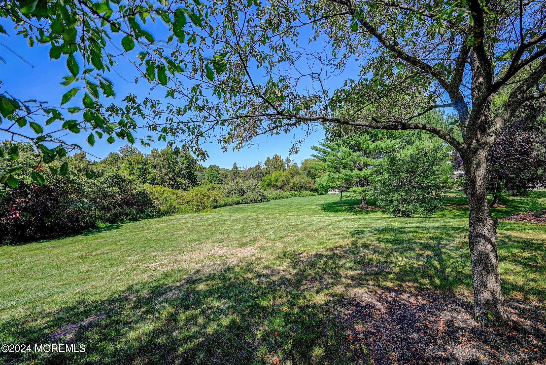 4 Hampton Hollow Drive, Millstone, NJ, 08535 image 43