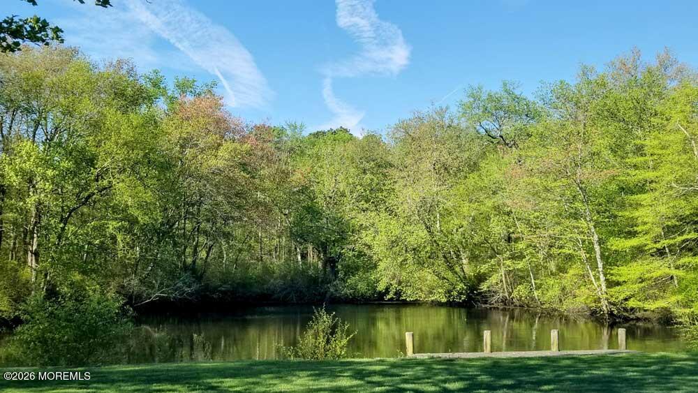 124 Serene Way, Toms River, NJ, 08755 image 9