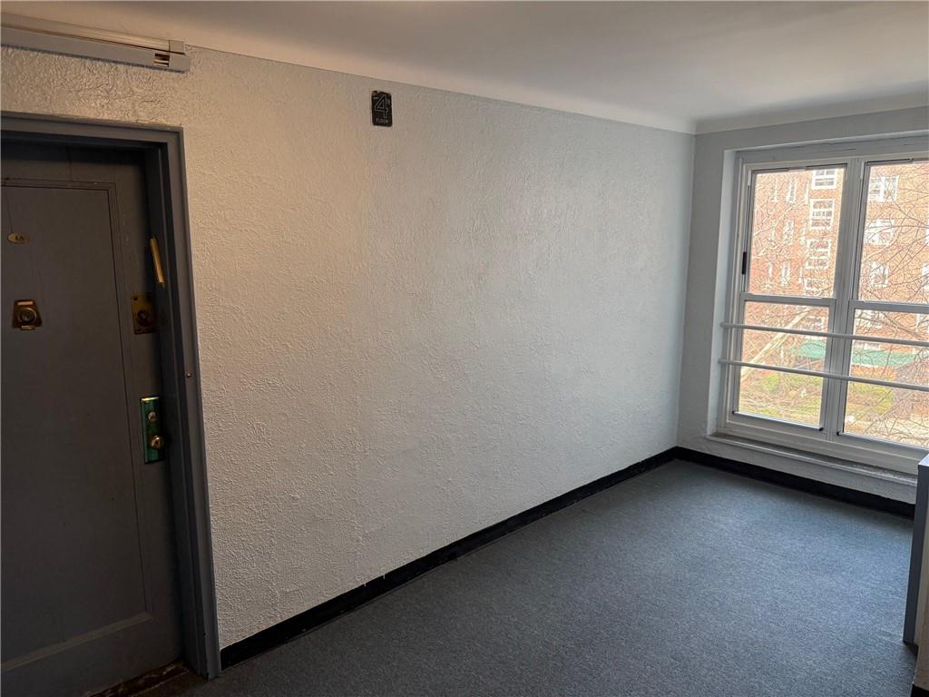 394 Avenue S 4A, Brooklyn, New York, 11223 image 9