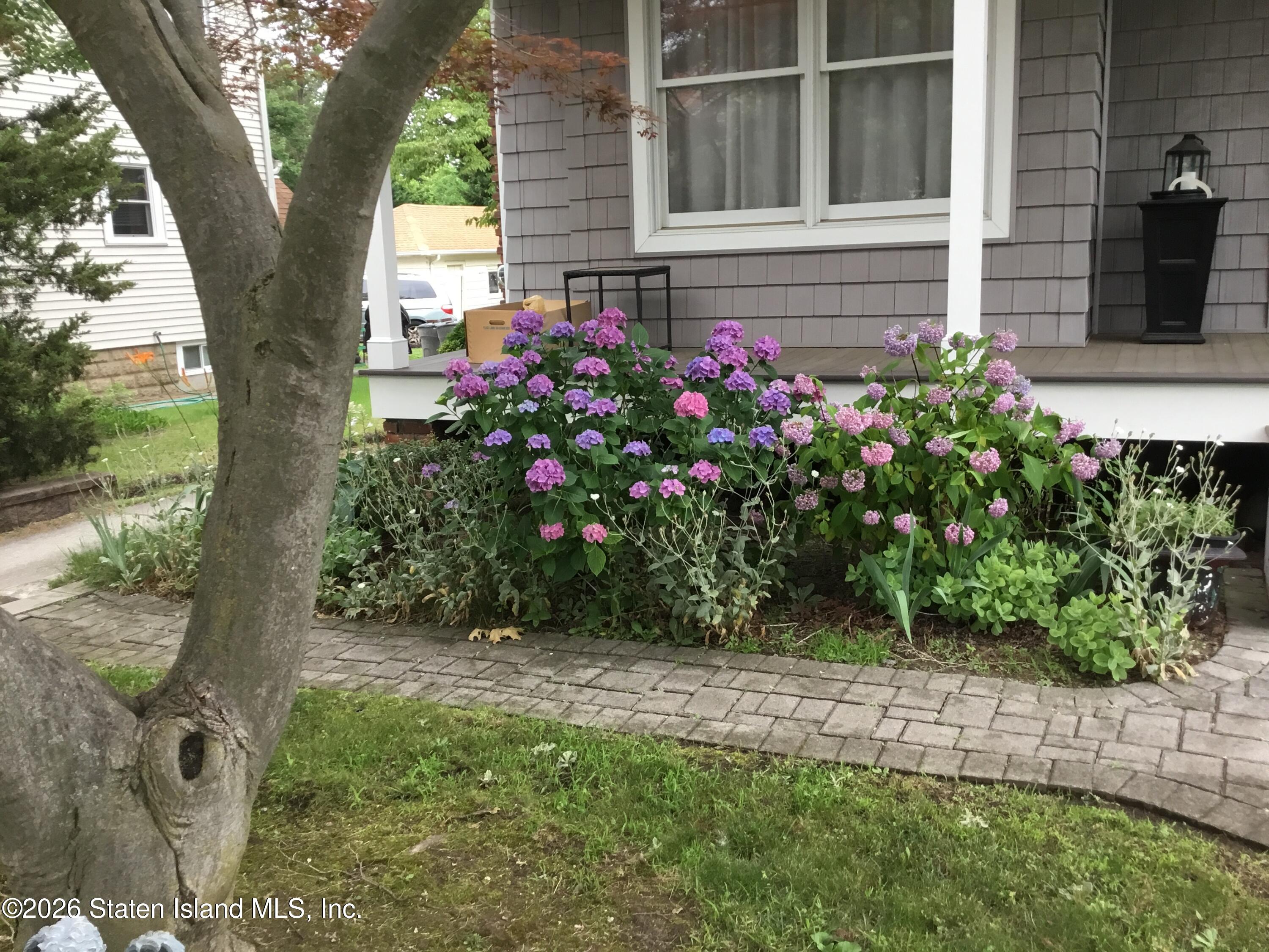 29 Joline Avenue Image 3