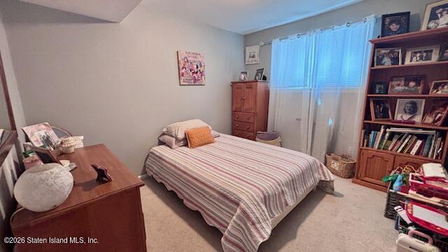 269 Park Street, Staten Island, NY, 10306 image 16
