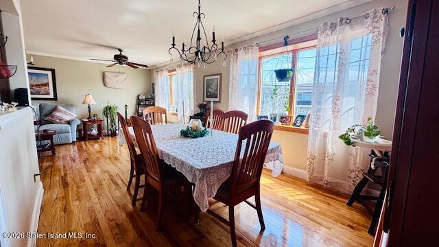 269 Park Street, Staten Island, NY, 10306 image 24