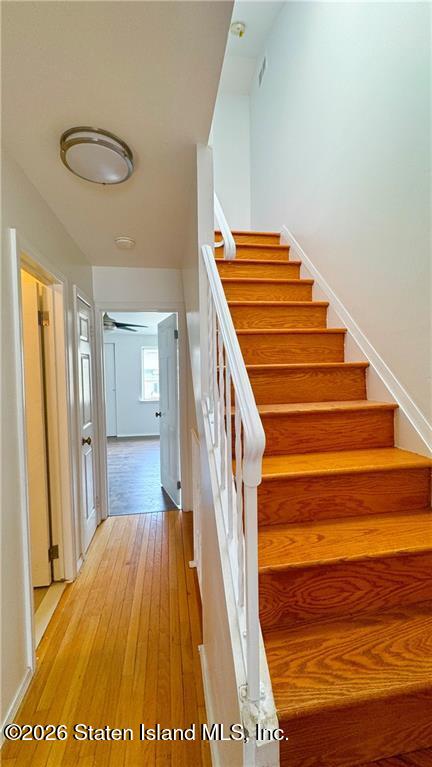 33 Lillie Lane, Staten Island, NY, 10314 image 11