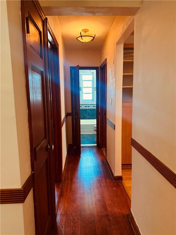 3203 Nostrand Avenue 5T, Brooklyn, New York, 11229 image 14