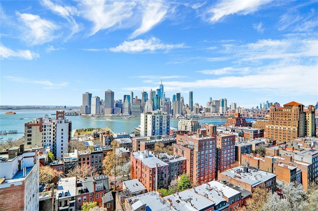 173 Hicks Street 4E, Brooklyn, New York, 11201 image 9