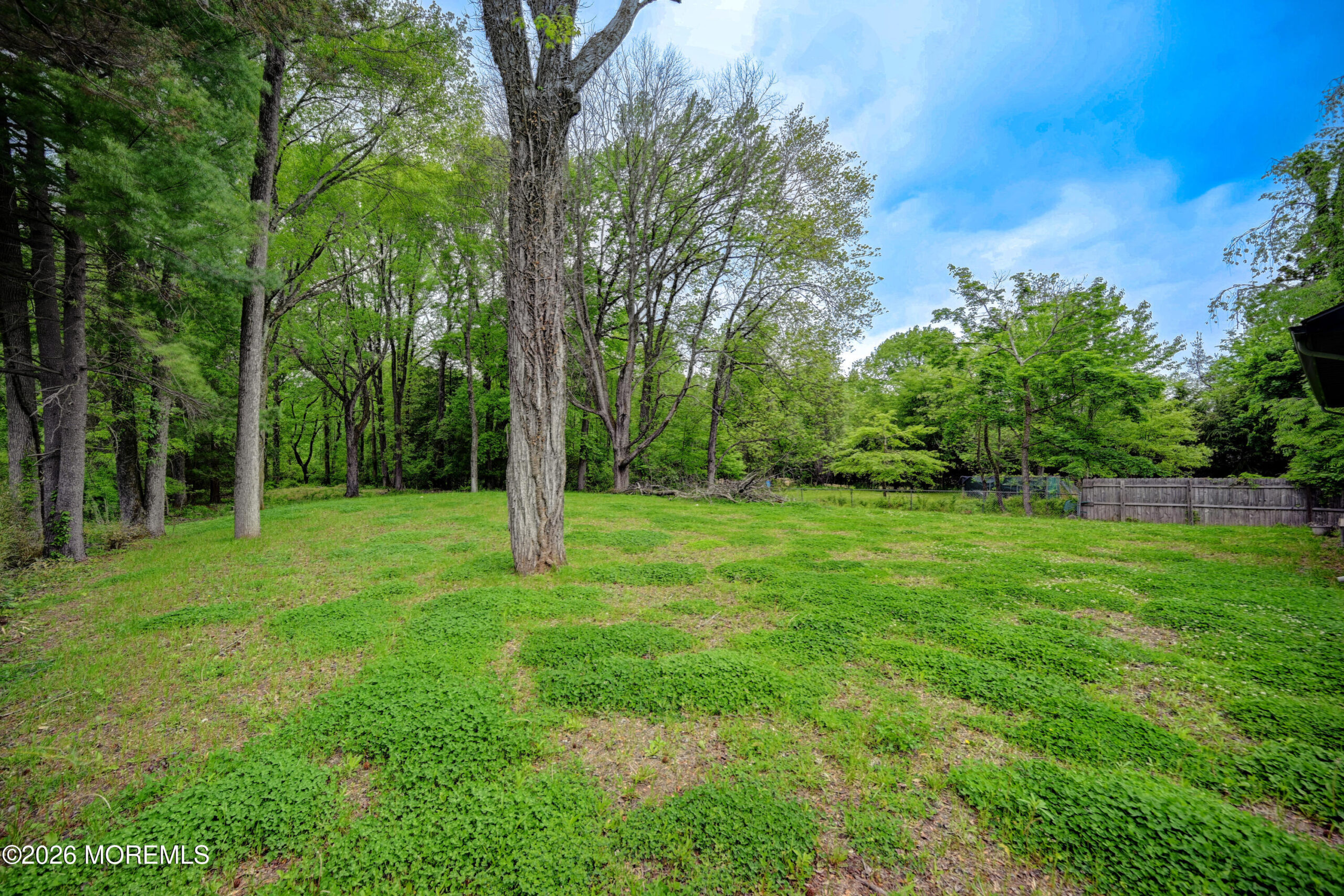 147 Carter Road, Princeton, NJ, 08540 image 69