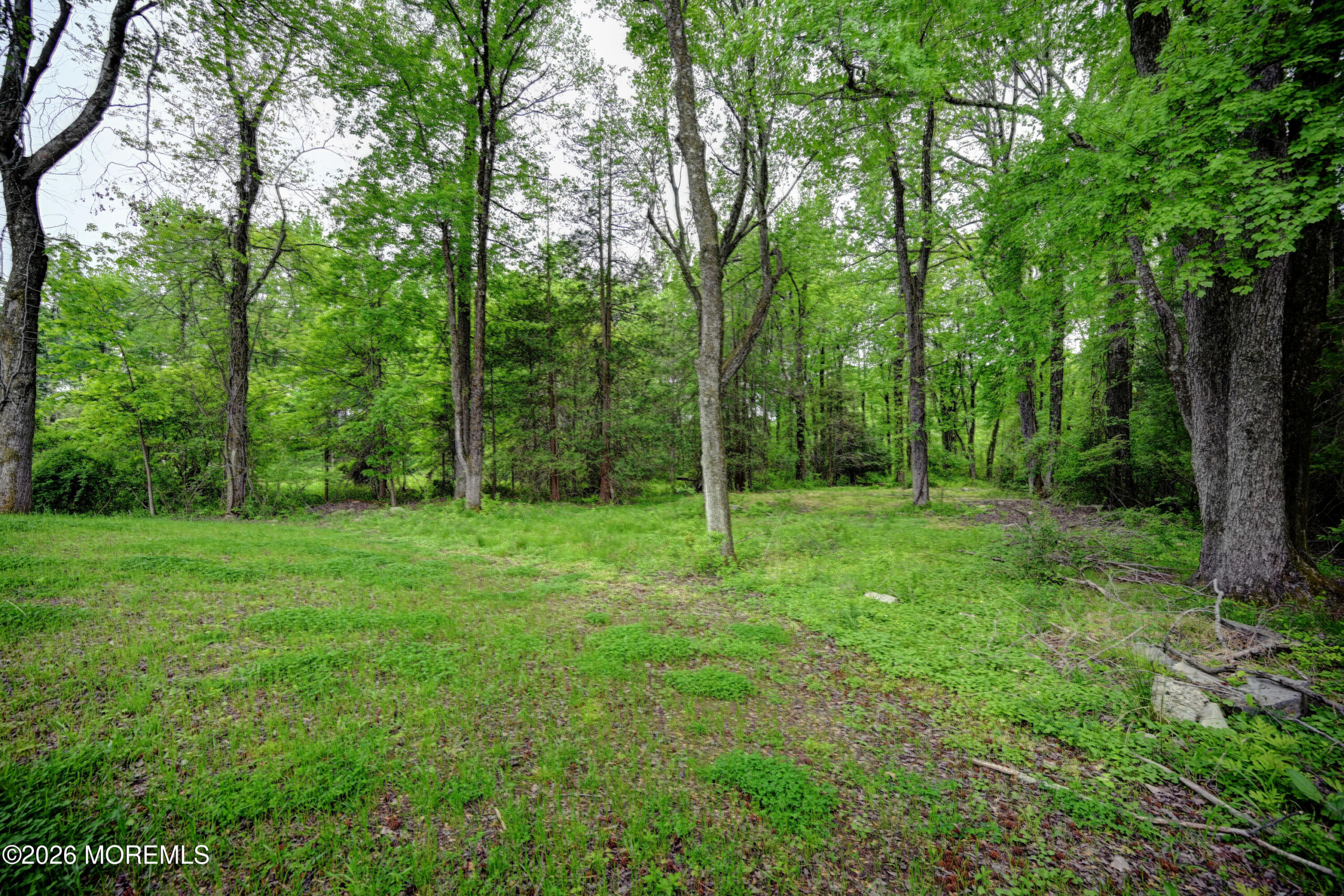 147 Carter Road, Princeton, NJ, 08540 image 70