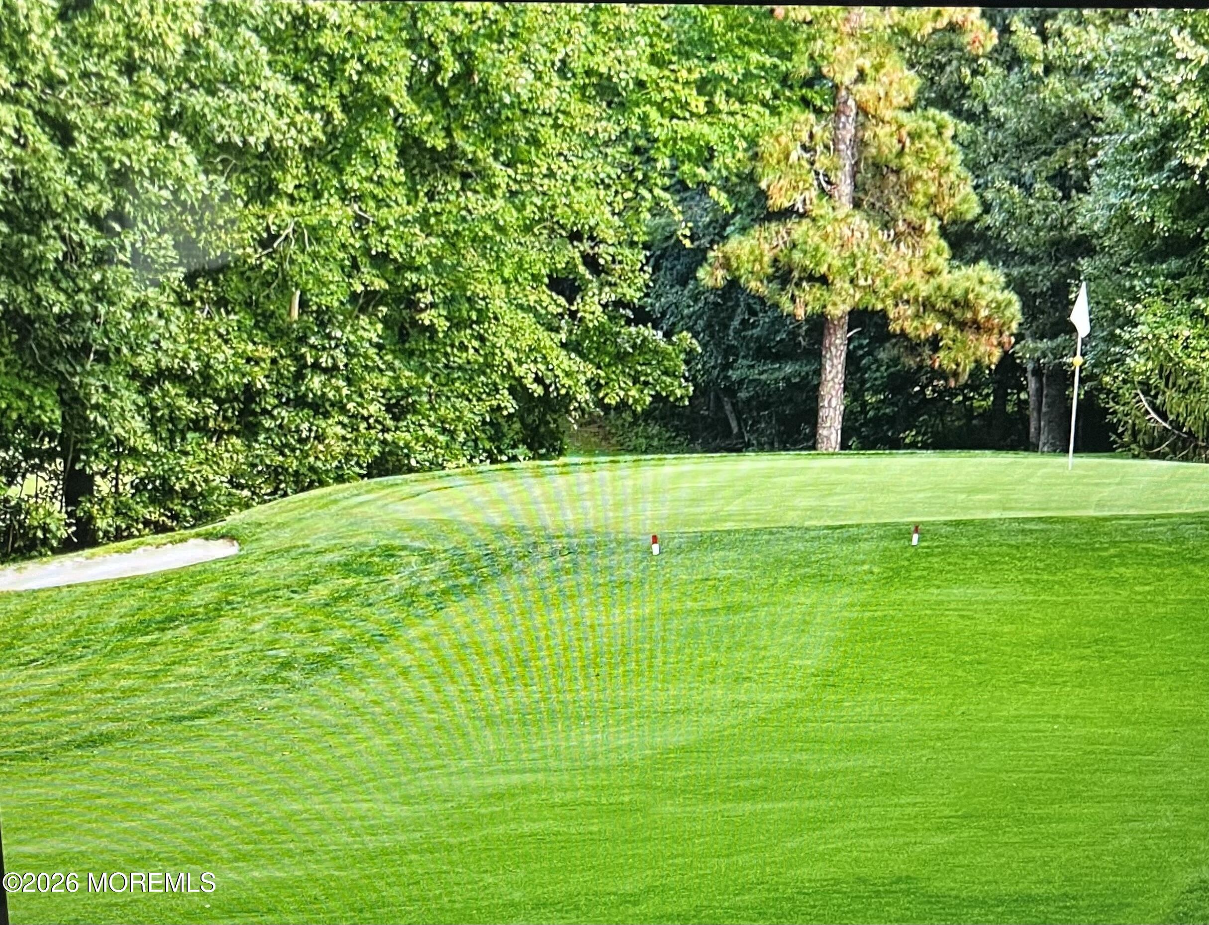 1603 Lacebark Road, Toms River, NJ, 08755 image 39