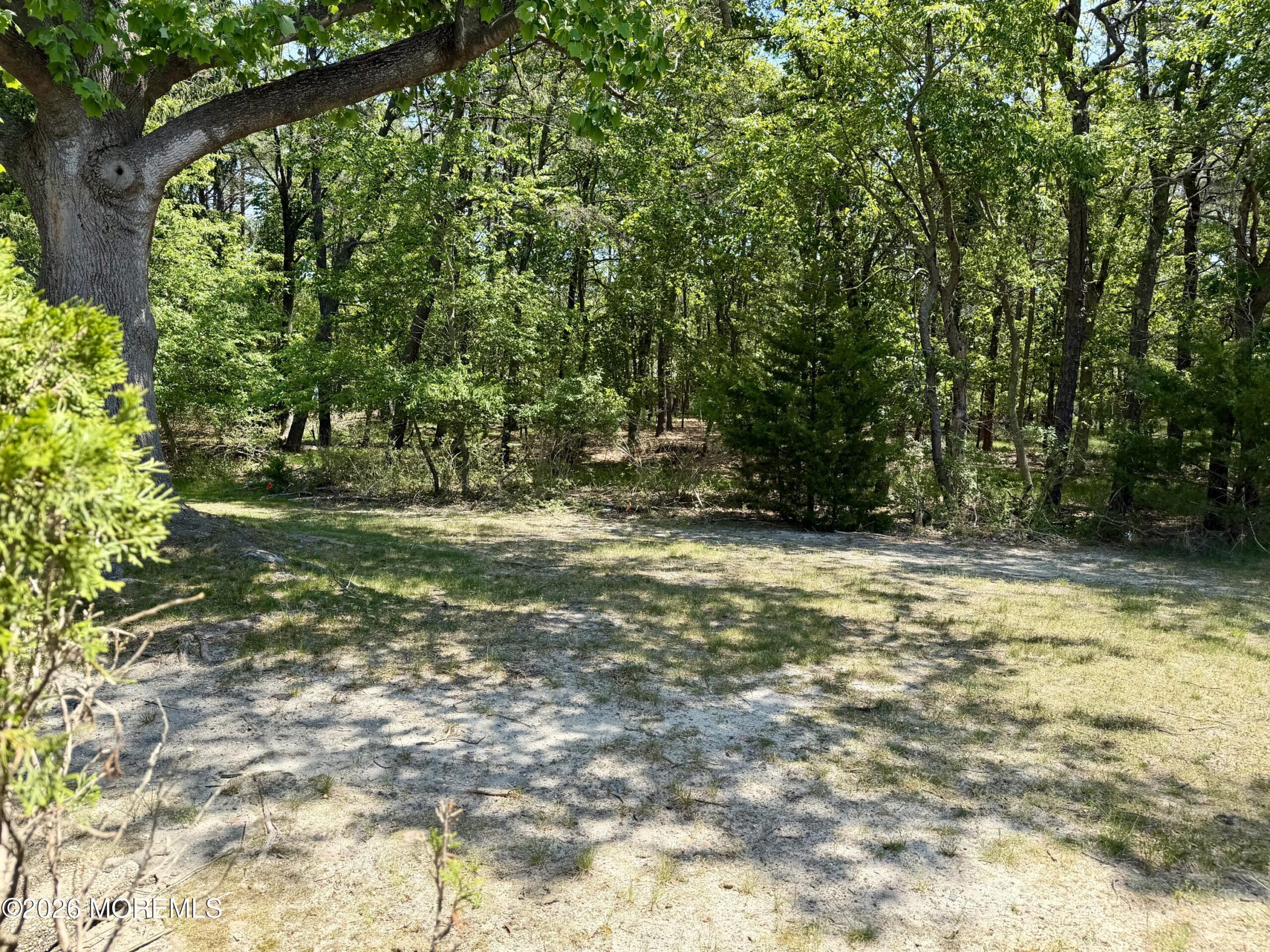 16 Franklin Lane b, Whiting, NJ, 08759 image 47