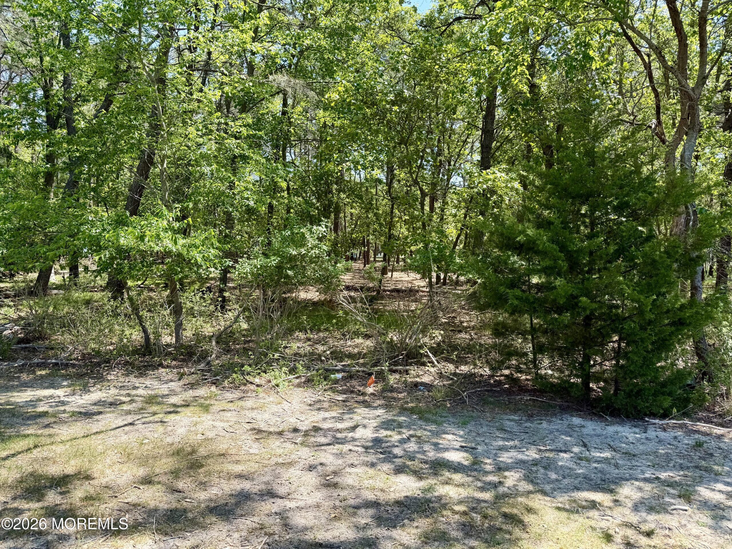 16 Franklin Lane b Image 3