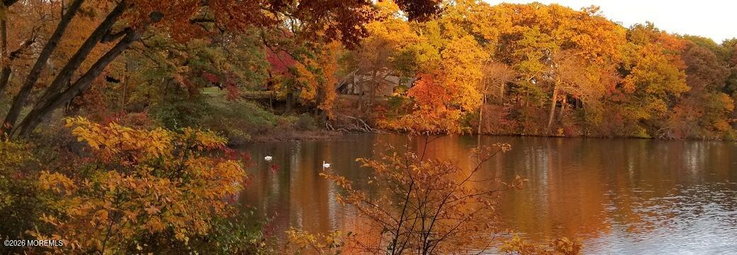 14 Andover Court, Red Bank, NJ, 07701 image 10