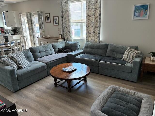 9 Lookout Avenue, Barnegat, NJ, 08005 image 30