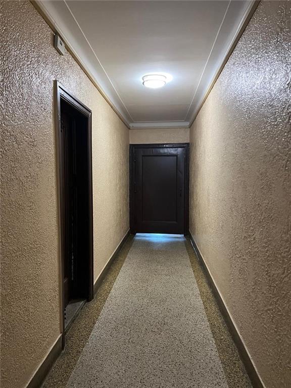 3100 Brighton 3rd Street 6F, Brooklyn, New York, 11235 image 18