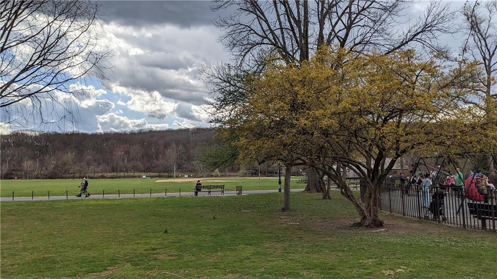 1100 Clove Road 5K, Staten  Island, New York, 10301 image 32