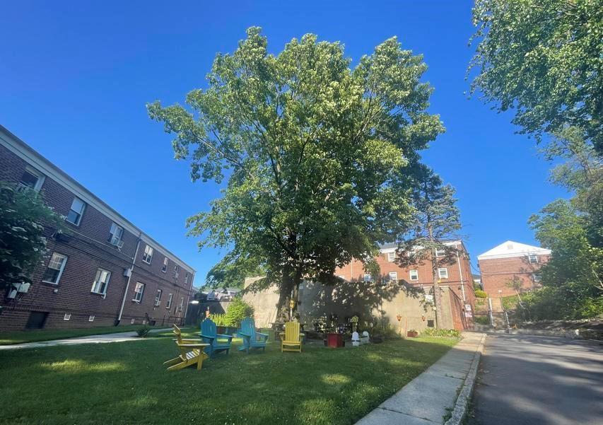 166 Arlo Road A, Staten  Island, New York, 10301 image 13