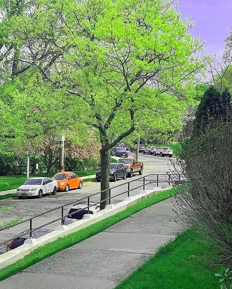 166 Arlo Road A, Staten  Island, New York, 10301 image 14