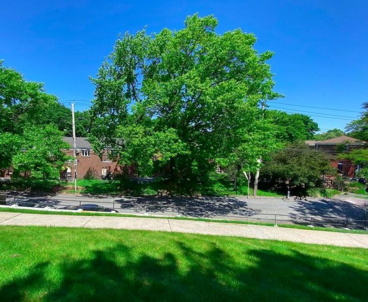 166 Arlo Road A, Staten  Island, New York, 10301 image 16