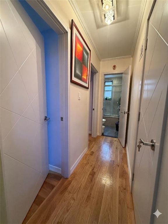 2514 East 7th Street 5G, Brooklyn, New York, 11235 image 6