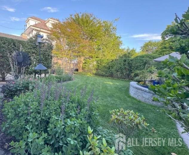 103 S 1st Avenue, Highland Park, NJ, 08904 image 50