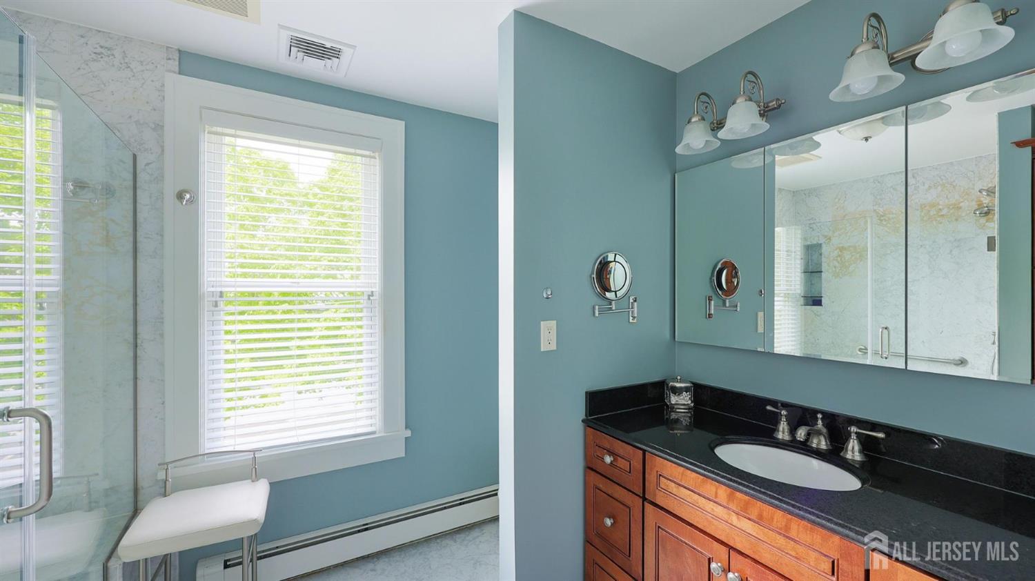 103 S 1st Avenue, Highland Park, NJ, 08904 image 25