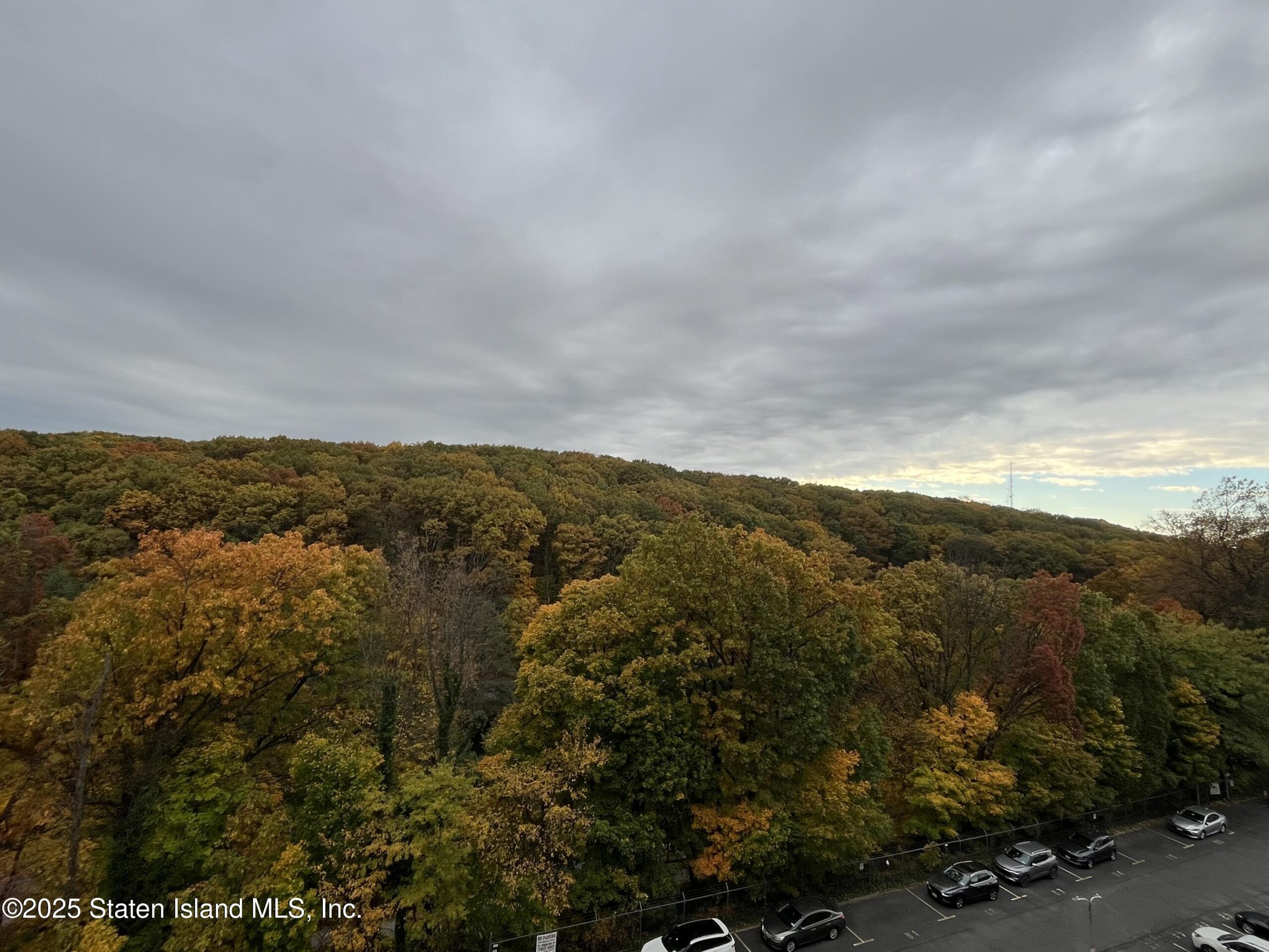 1000 Clove Road 6-o & 6-p, Staten Island, NY, 10301 image 30