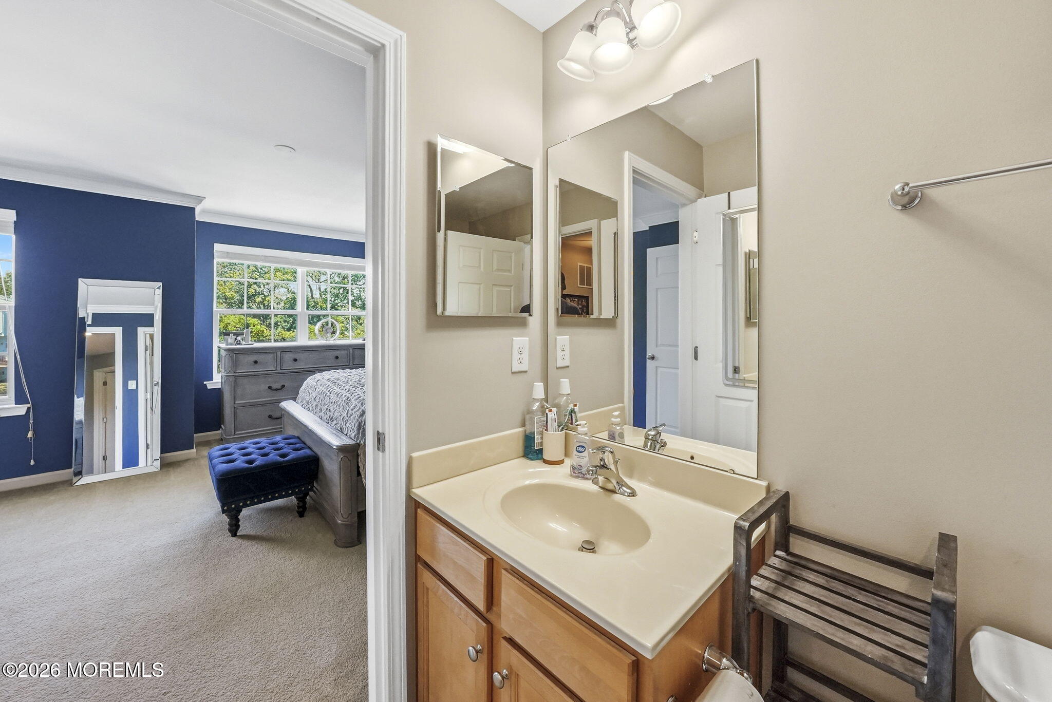 239 Chickadee Court, Freehold, NJ, 07728 image 28