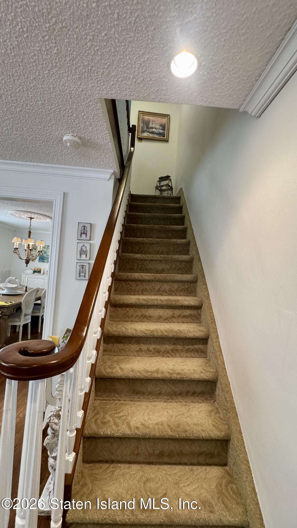 1051 82nd Street, Brooklyn, NY, 11228 image 19