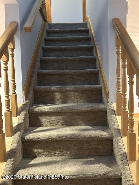 96 Delaware Street, Staten Island, NY, 10304 image 18