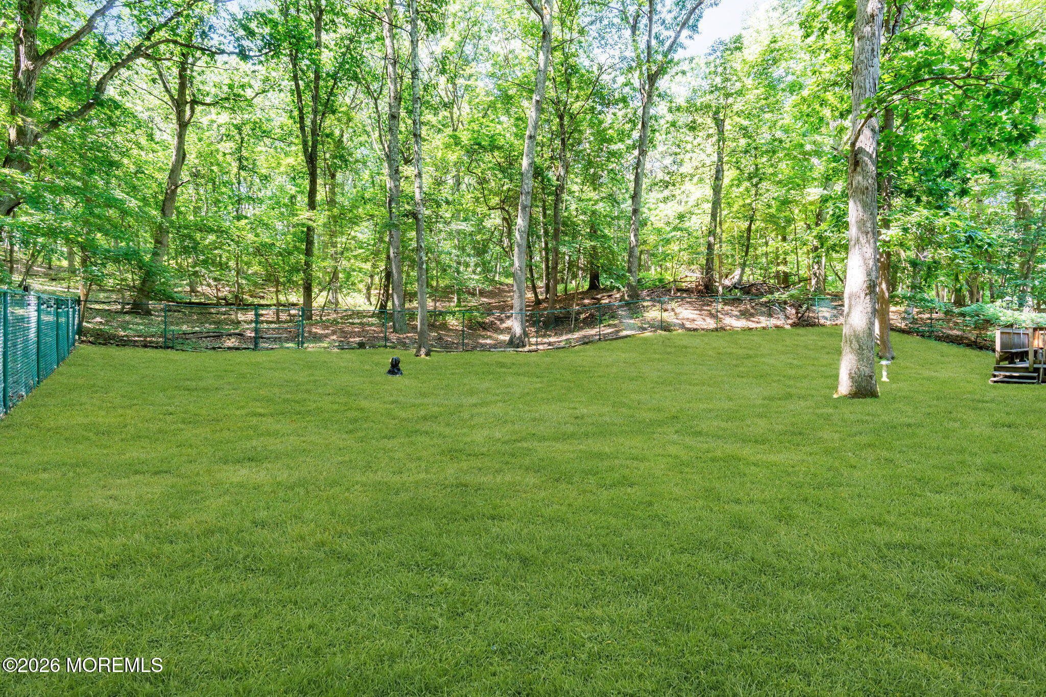 3 Merkin Drive, Millstone, NJ, 08535 image 51
