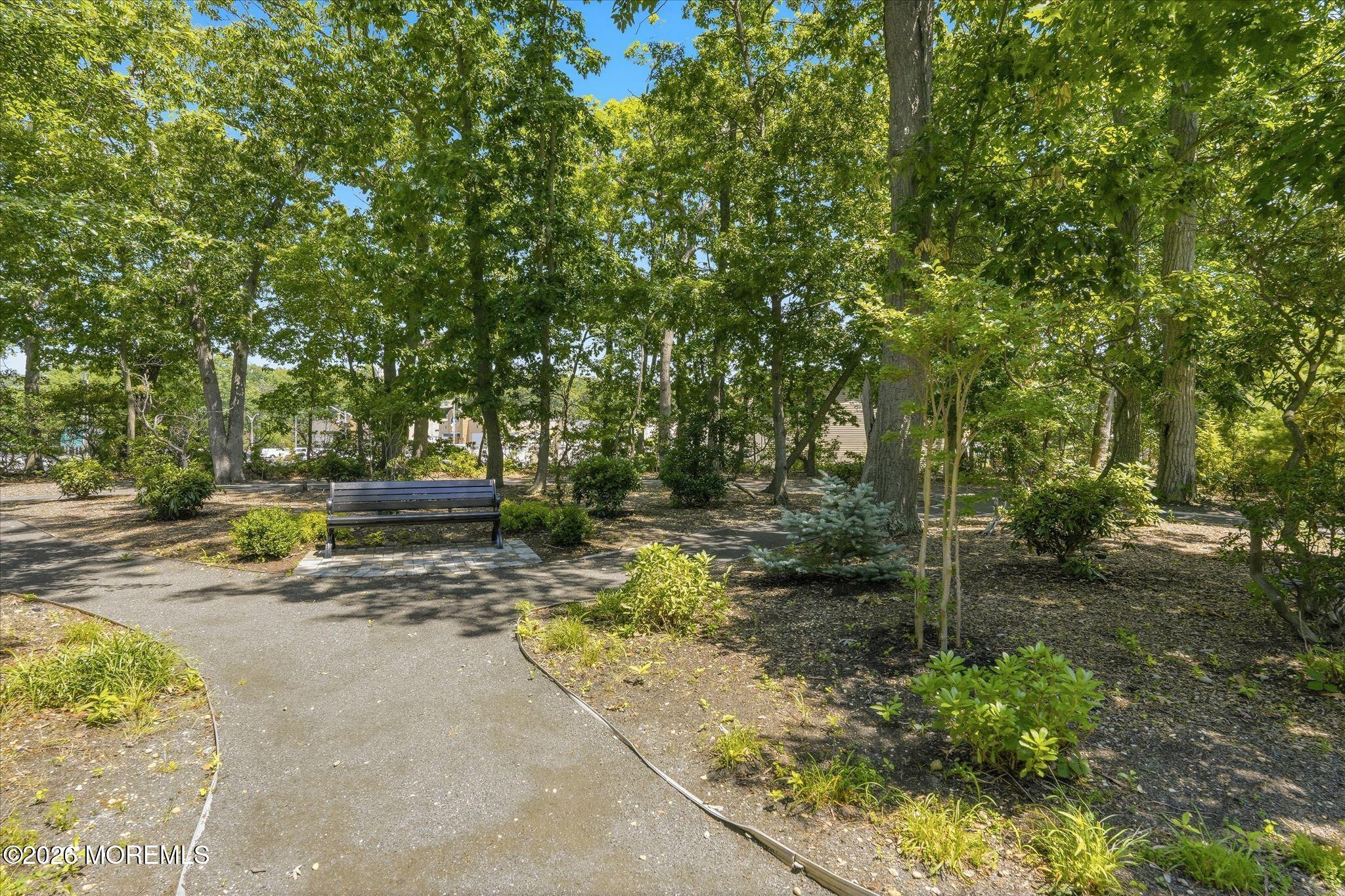 2410 Greentree Drive, Manasquan, NJ, 08736 image 21