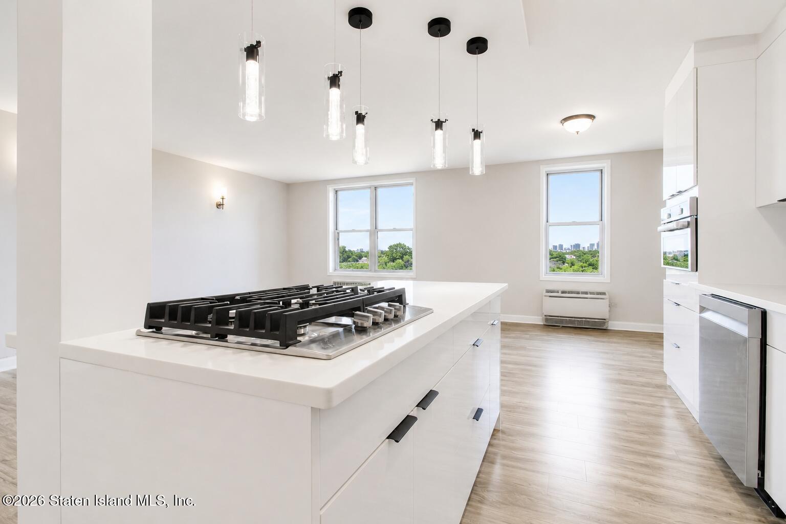 55 Austin Place 6b, Staten Island, NY, 10304 image 15