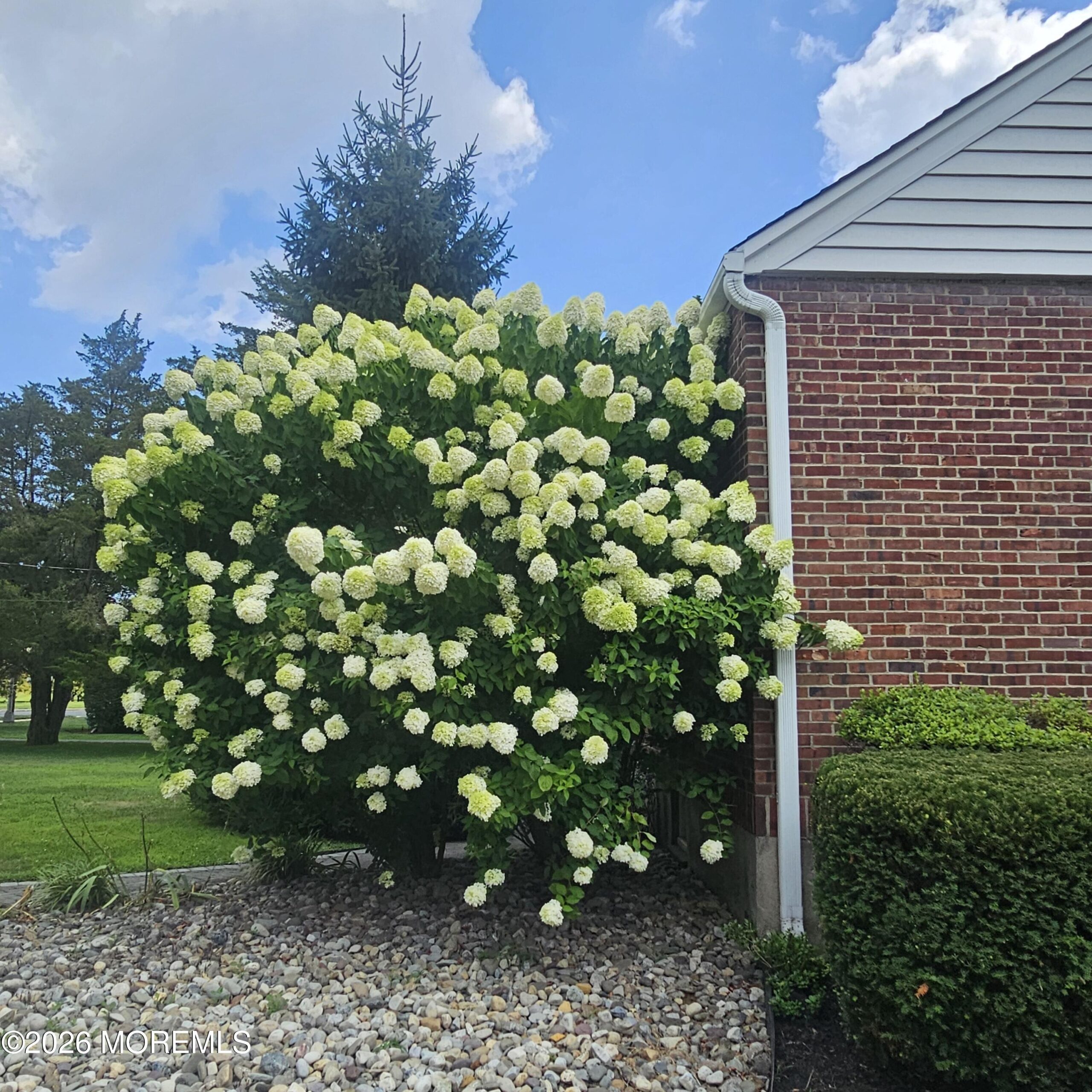 443 Newman Springs Road, Lincroft, NJ, 07738 image 36