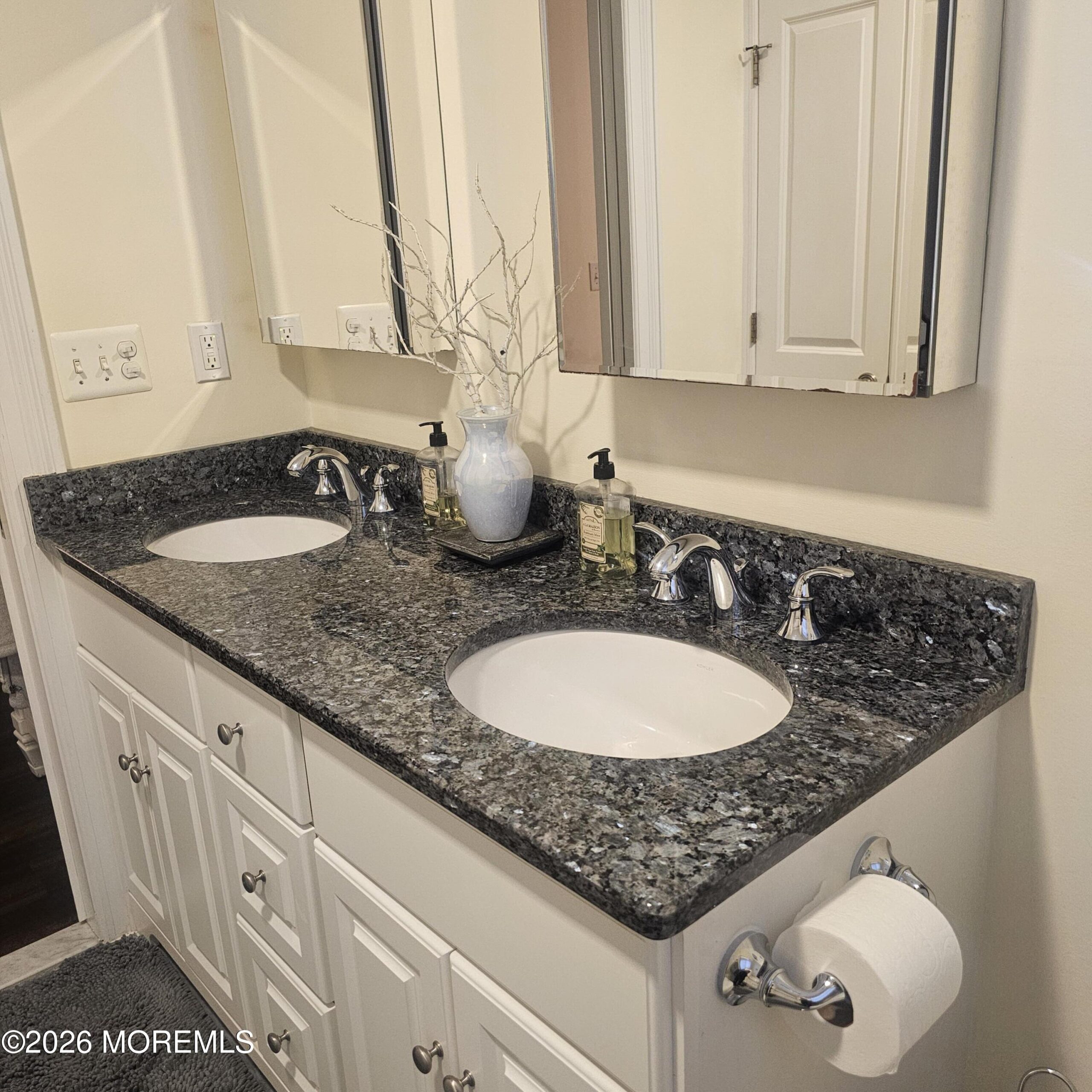 443 Newman Springs Road, Lincroft, NJ, 07738 image 53